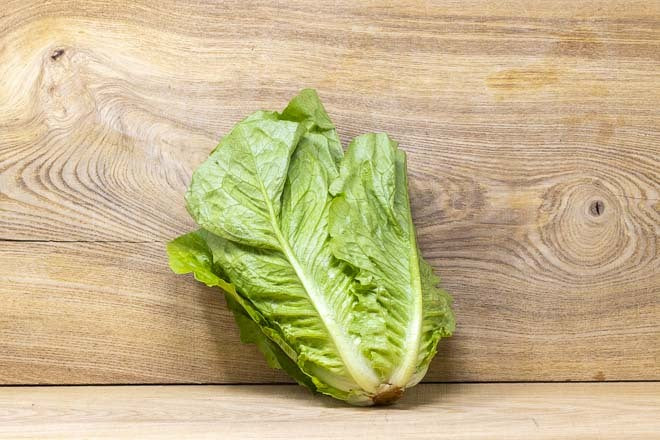 Lettuce – Cos