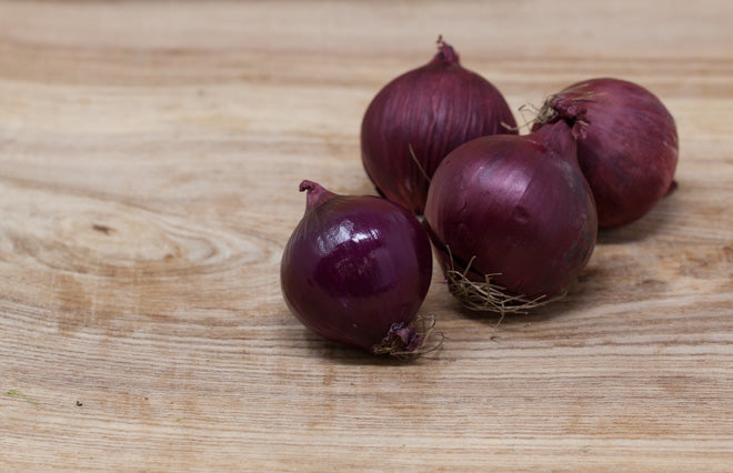 Onion – Red