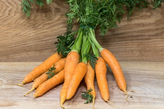 Carrots – Bunched