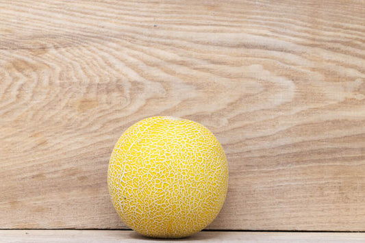 Melon – Galia