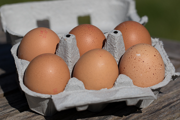 Free Range Eggs (Pack of 6)