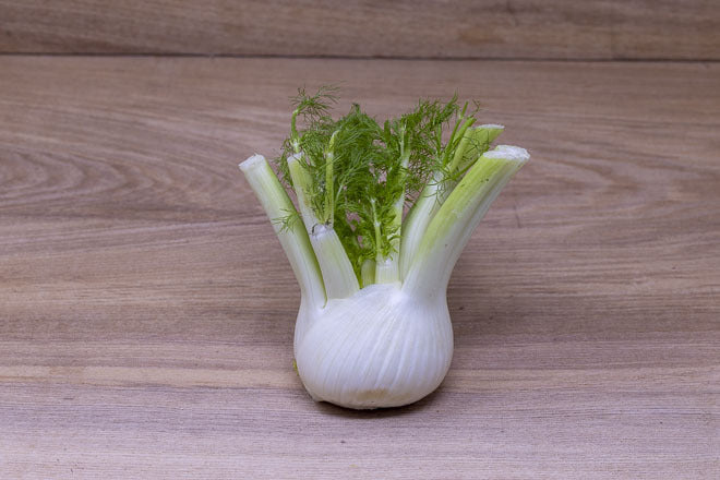 Fennel Bulb (Each)