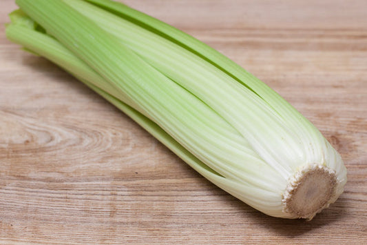 Celery